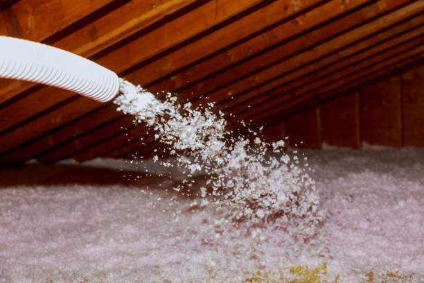 Best Residential Insulation in Oldsmar, FL