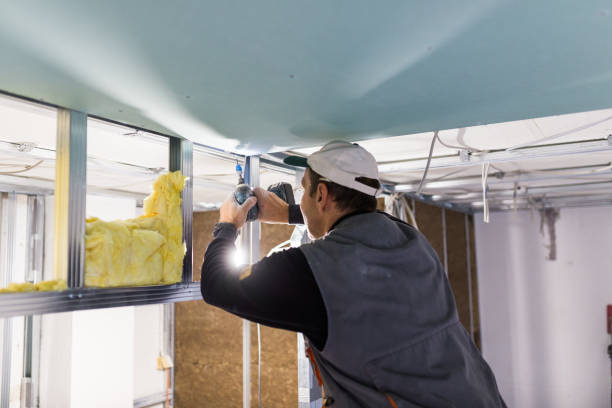 Best Blown-in Insulation in Oldsmar, FL