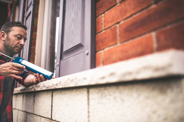 Best Specialized Insulation Services in Oldsmar, FL