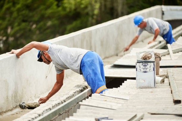 Best Specialized Insulation Services in Oldsmar, FL
