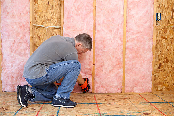 Types of Insulation We Offer in Oldsmar, FL
