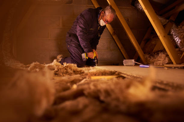 Best Energy Efficiency Insulation in Oldsmar, FL