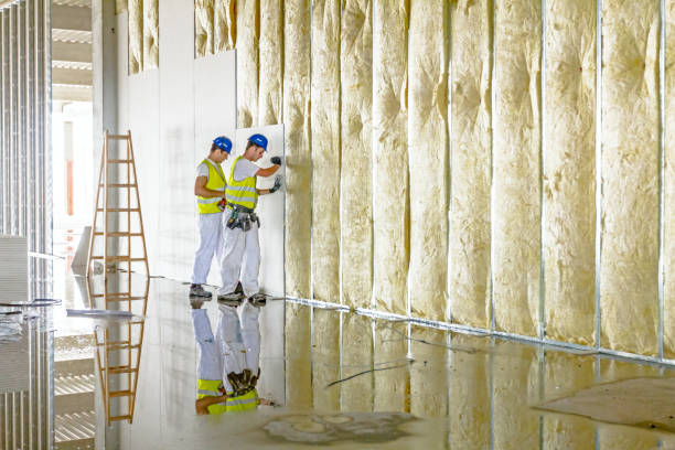 Best Spray Foam Insulation in Oldsmar, FL